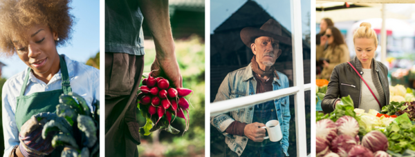 Farmer Gardener Consumer Collage