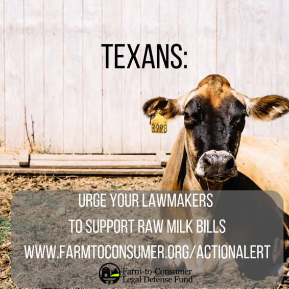 Texas Raw Milk Bills