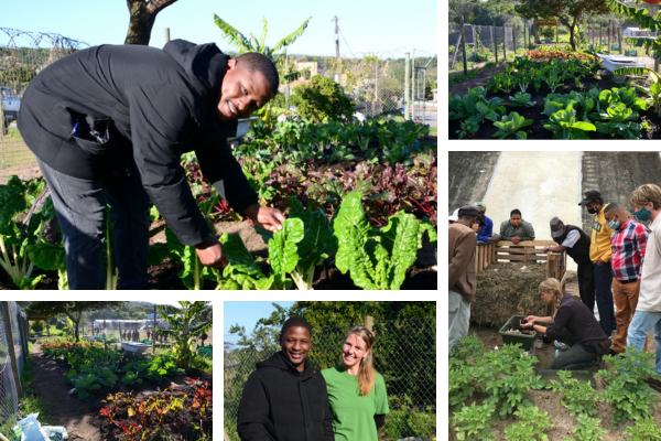 Kate and Fregen at their community food garden