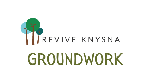 Revive Knysna Logo