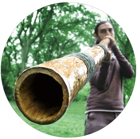 DidgeProject.com