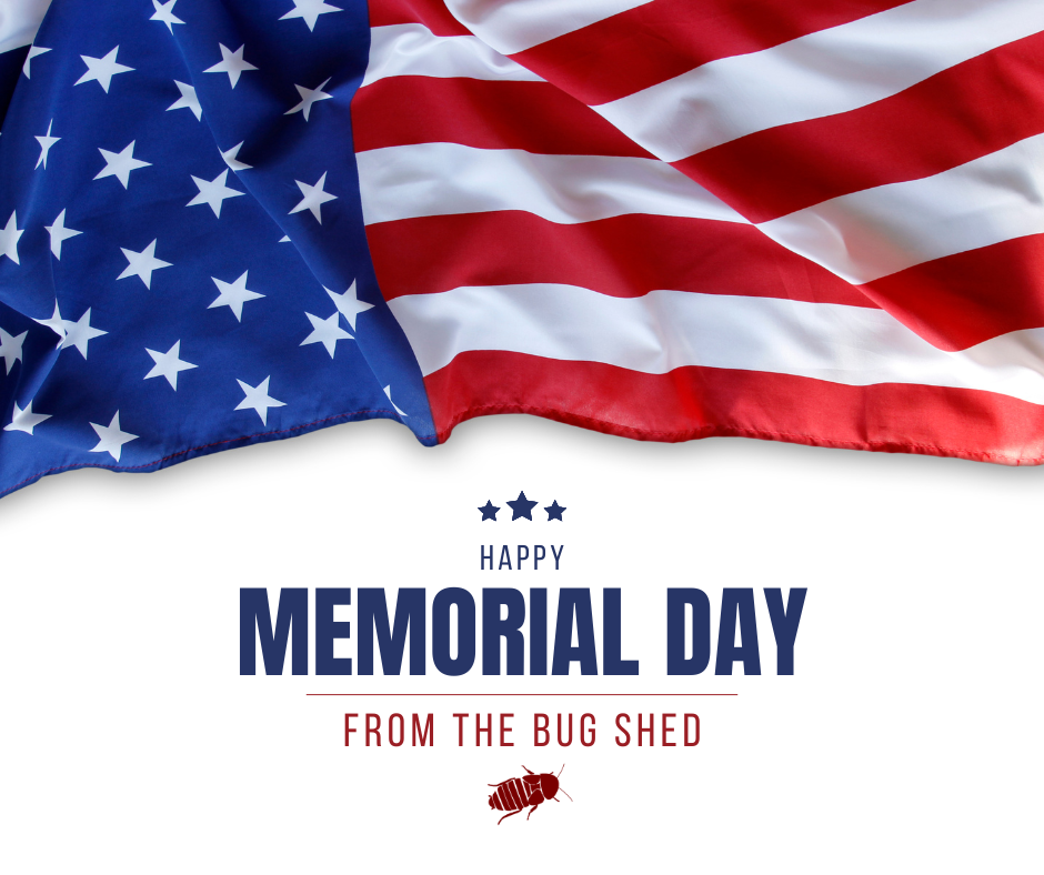 Happy Memorial Day from The Bug Shed