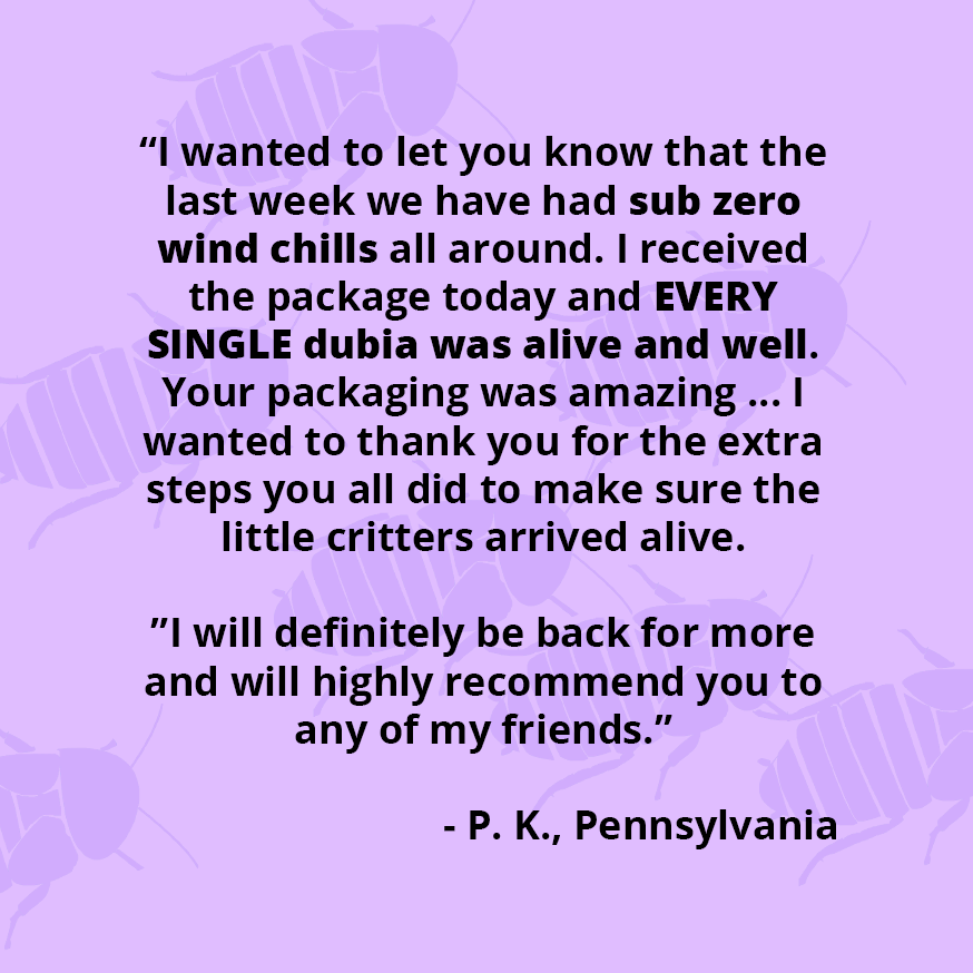 Testimonial meme: “I wanted to let you know that the last week we have had sub zero wind chills all around. I received the package today and EVERY SINGLE dubia was alive and well. Your packaging was amazing ... I wanted to thank you for the extra steps you all did to make sure the little critters arrived alive.  ”I will definitely be back for more and will highly recommend you to any of my friends.”  - P. K., Pennsylvania