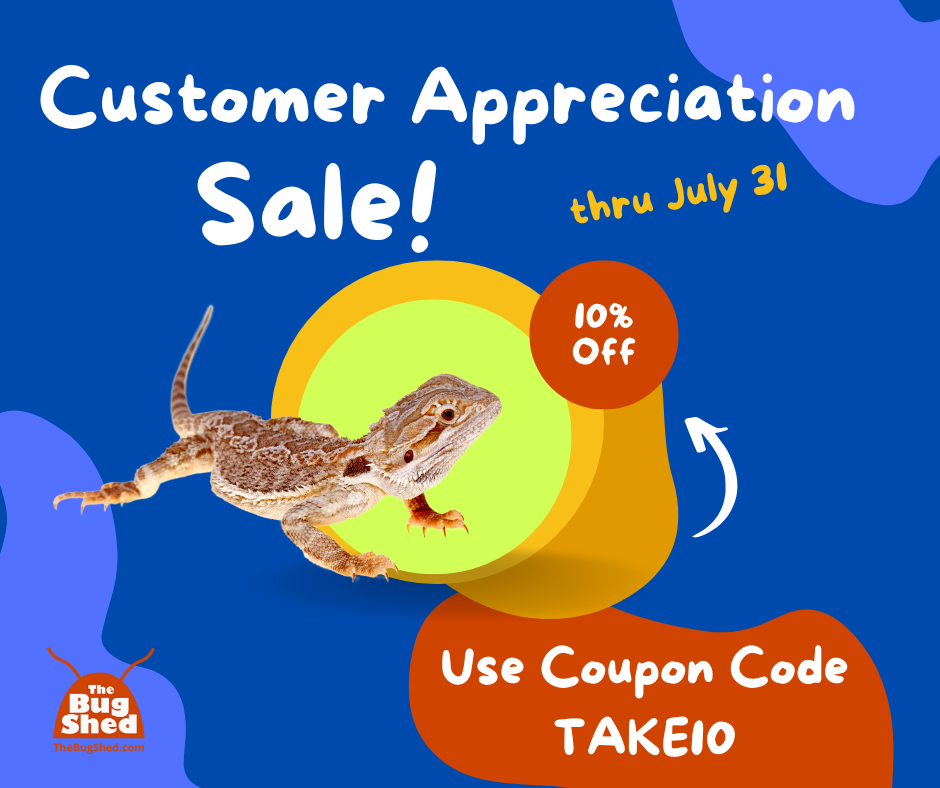 Sale ad for The Bug Shed - use coupon code TAKE10 for 10% off in July