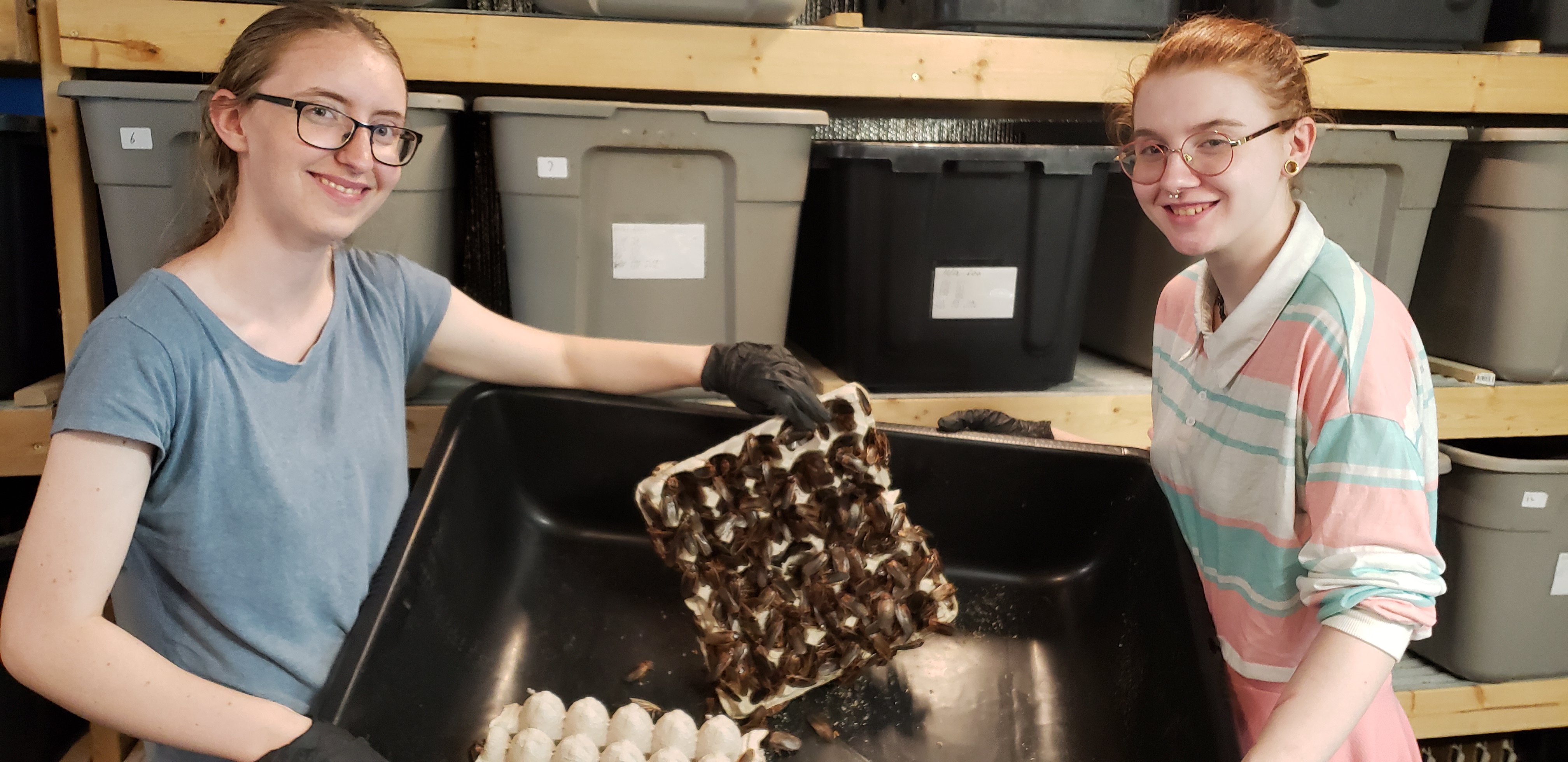 two young women holding a tray of male dubia roaches