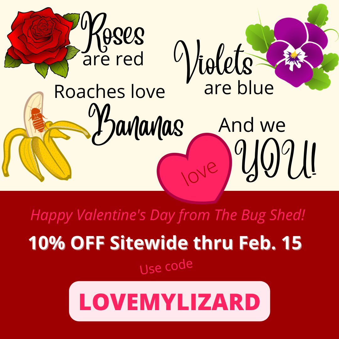 Valentine's Day coupon: 10% Off sitewide thru Feb. 15. Use coupon code LOVEMYLIZARD