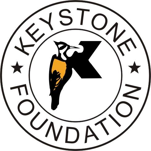 Keystone Foundation Logo