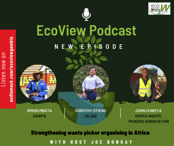 Ecoview Podcast - Strengthening Waste Picker Organising in Africa