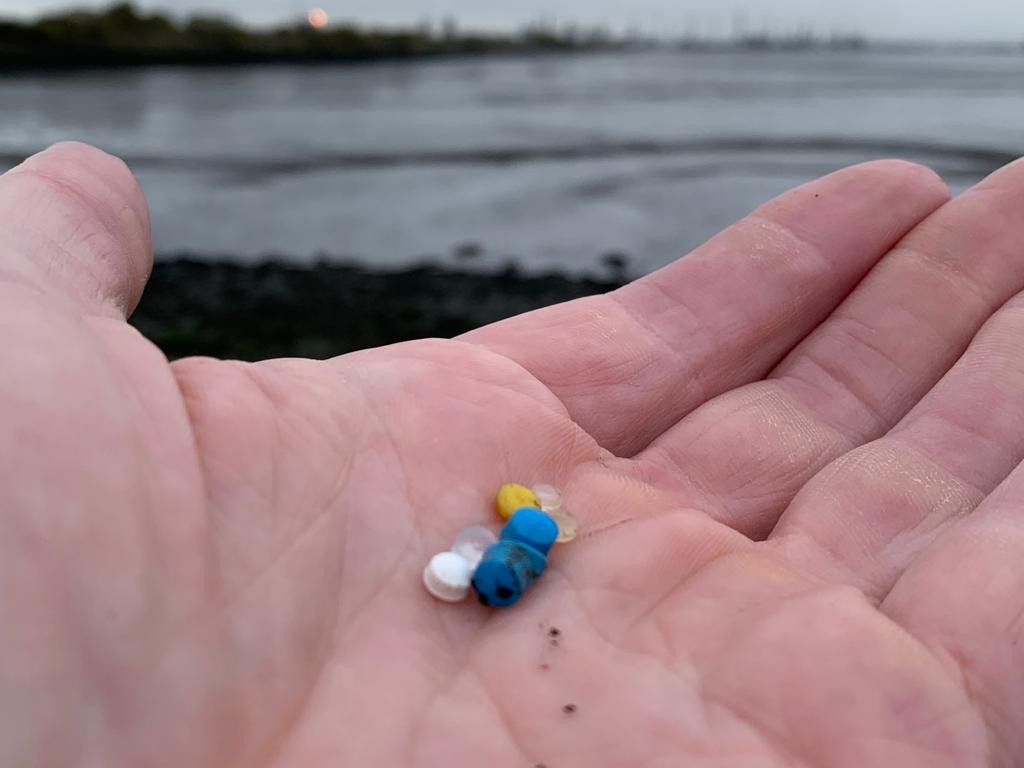 Nurdle hunt - #breakfreefromplastic, 2021